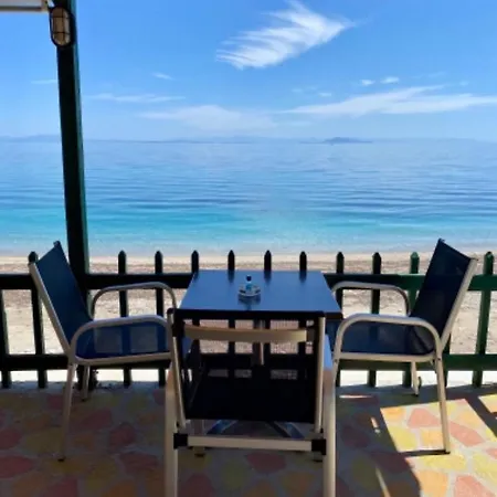 فندق Riviera